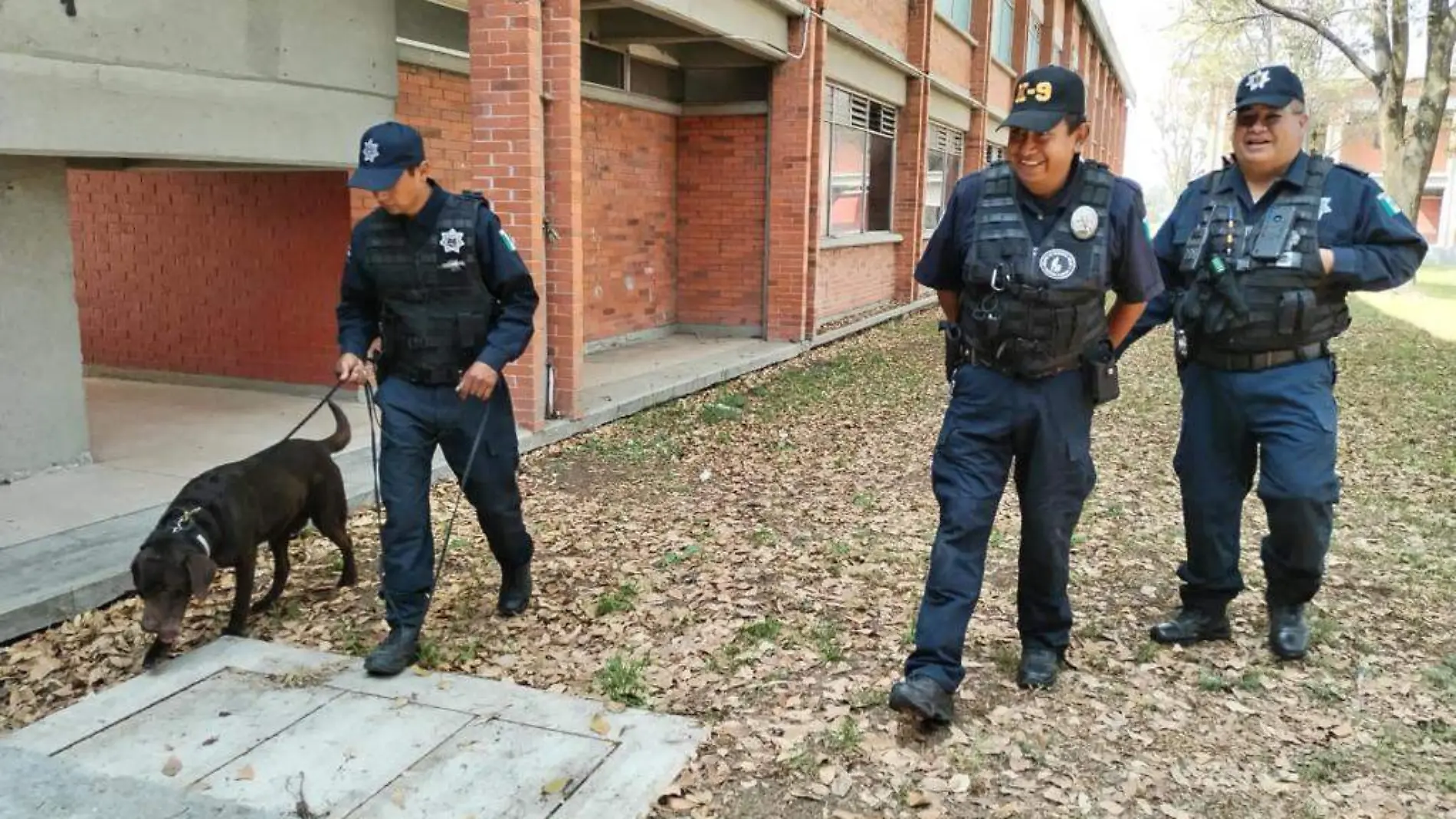 perros policías